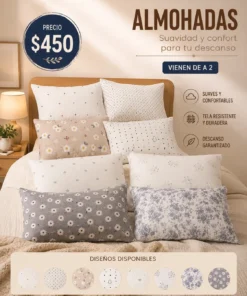 Almohadas set x 2